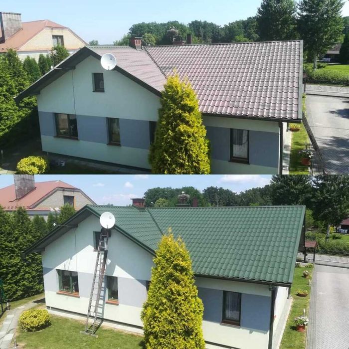 Фарбування дахів Львів та Львівська область / Покраска верхів Миття