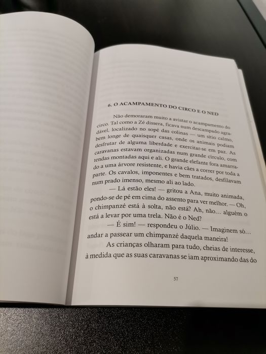 Livros juvenis, "Os Cinco", Enid Blyton