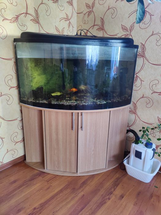 Акваріум 380 літрів