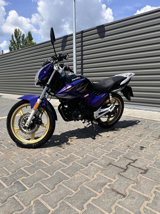 GEON pantera 202 cbf