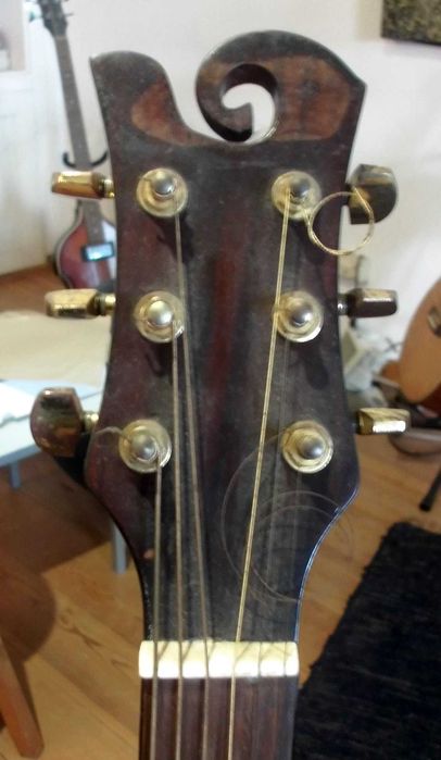 guitara electra accoustica