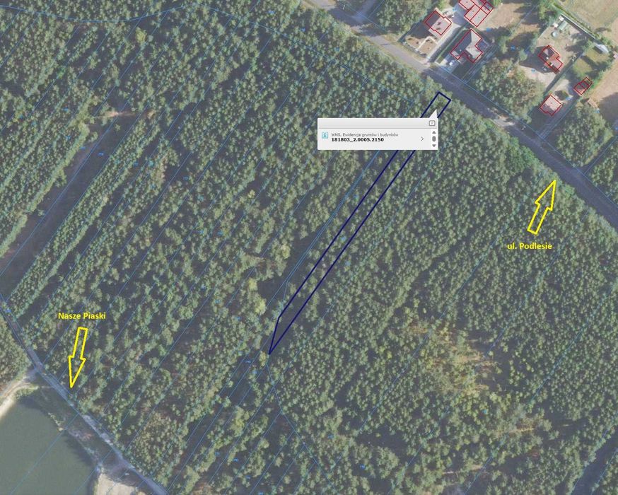 Działka leśna 19 arów w Pysznicy przy ul. Podlesie w pobliżu Naszych Piasków - Widok 3