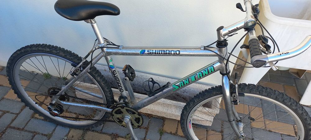 Bicicleta adulto