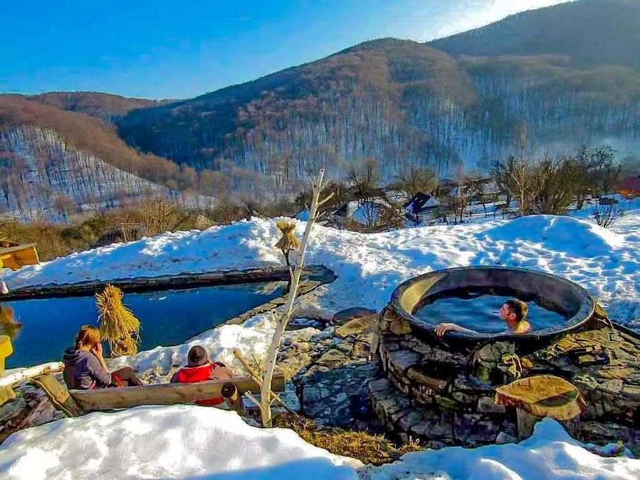 Вікенд на Закарпатті: замки, гарячі джерела  та буйволина ферма.