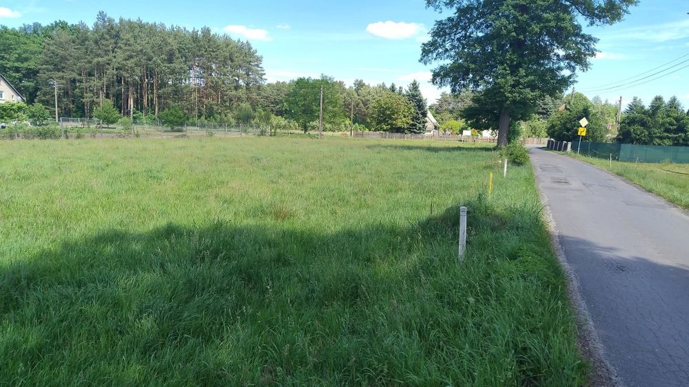 Działka budowlana w okolicy lasów
