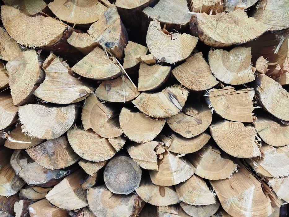Drewno sosnowe  i liściaste