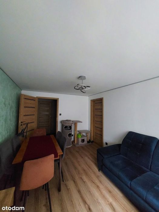 Zdjęcie 8