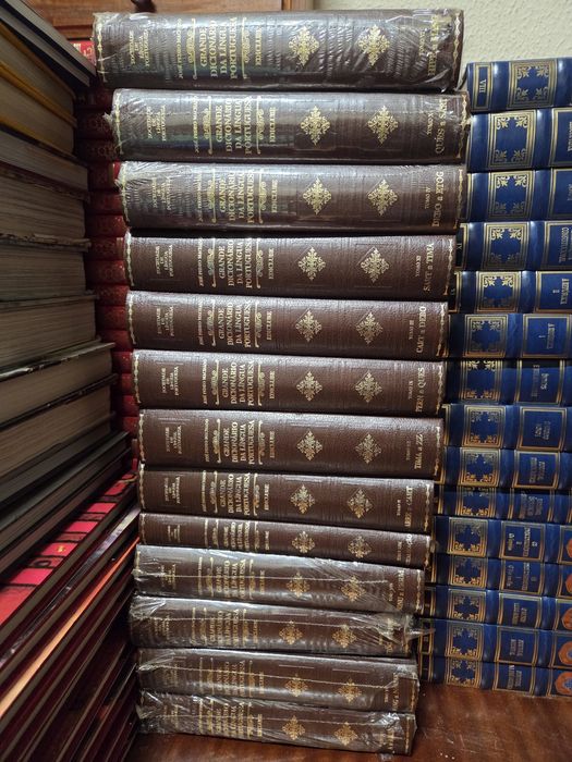 13 livros Grande dicionário da Língua Portuguesa