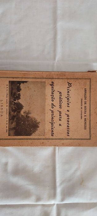 Processos práticos para equitação principiantes