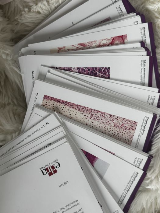 histologia sobotta fiszki