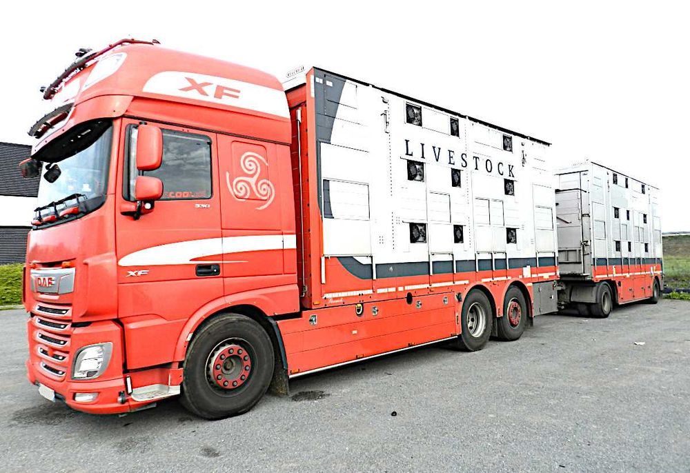 DAF