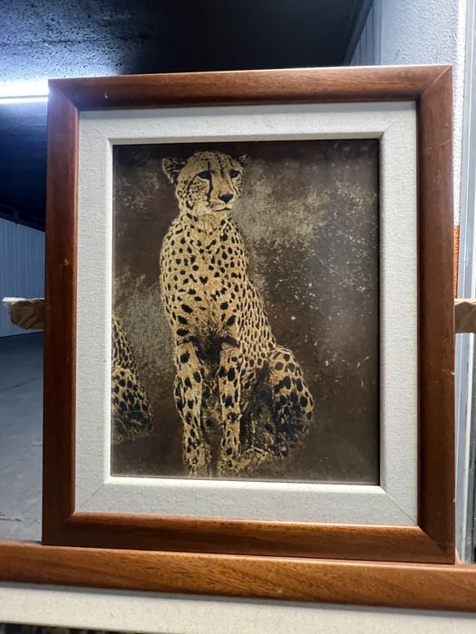 Quadros  safari leopardos