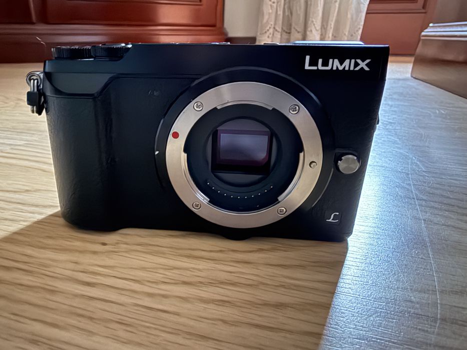 Panasonic Lumix GX-80
