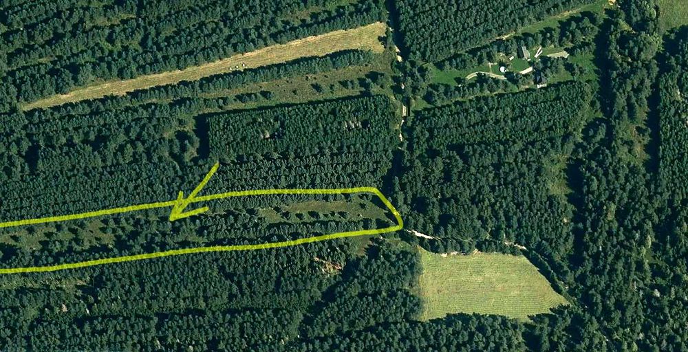 Atrakcyjna działka rolno-leśna 1,58 ha w Jabłonce przy drodze gminnej