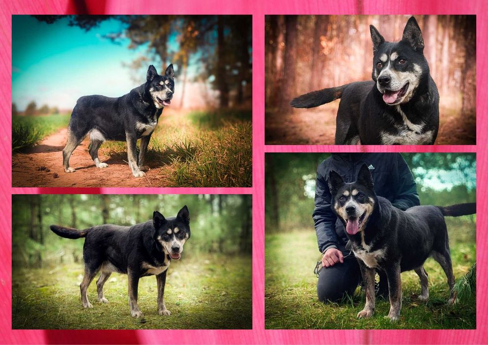 ANOE - marzy o nowym domu i rodzinie