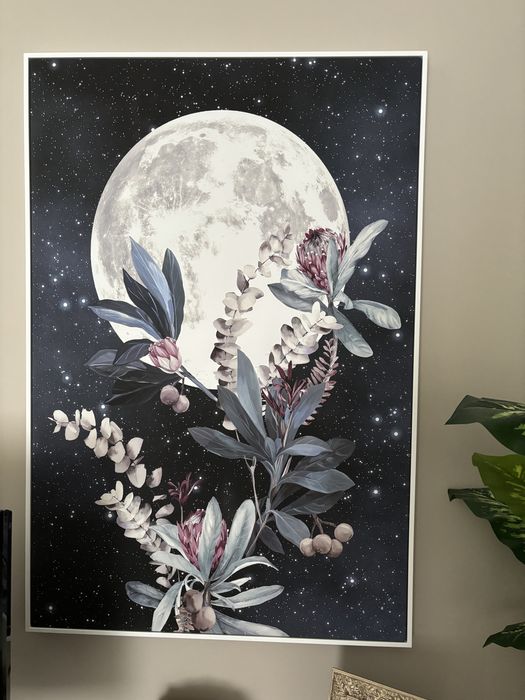 Dois quadros de sala