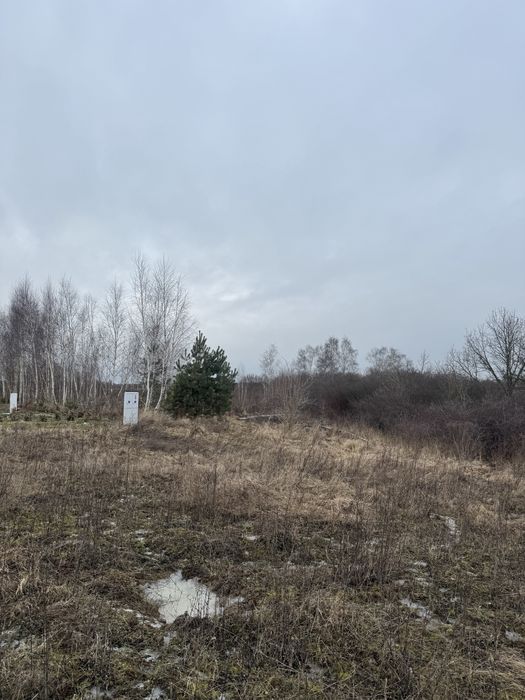 Działka budowlana Tryszczyn,