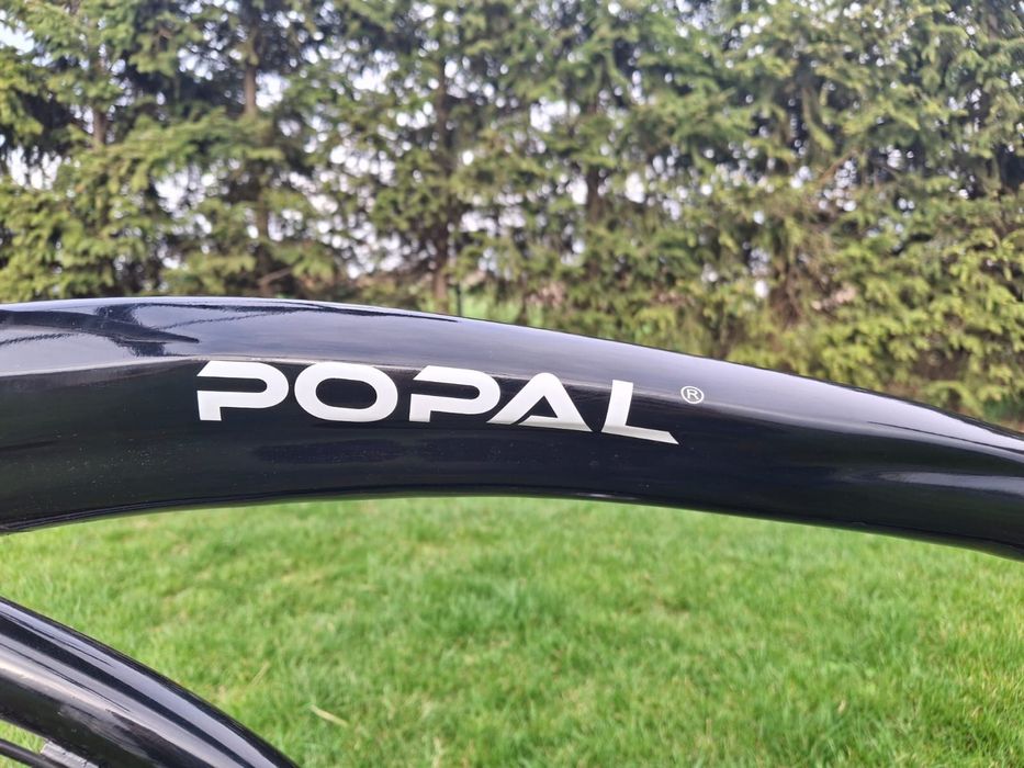 Rower Popal cruiz