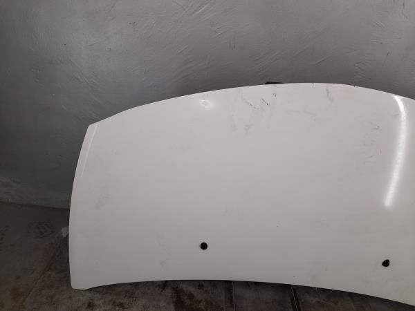 Capot RENAULT Clio III (BR0/1, CR0/1)