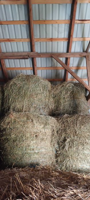 Sprzedam siano w belach