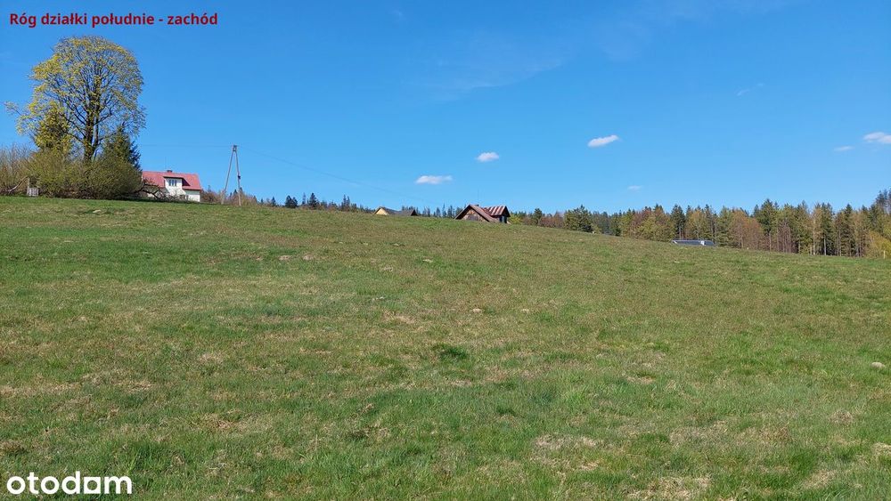 Widokowa działka budowlana 15a, asfaltowy dojazd, panorama gór PREMIUM - Widok 5