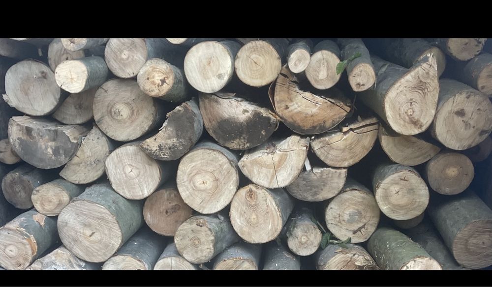 Дрова палевні з доставкою