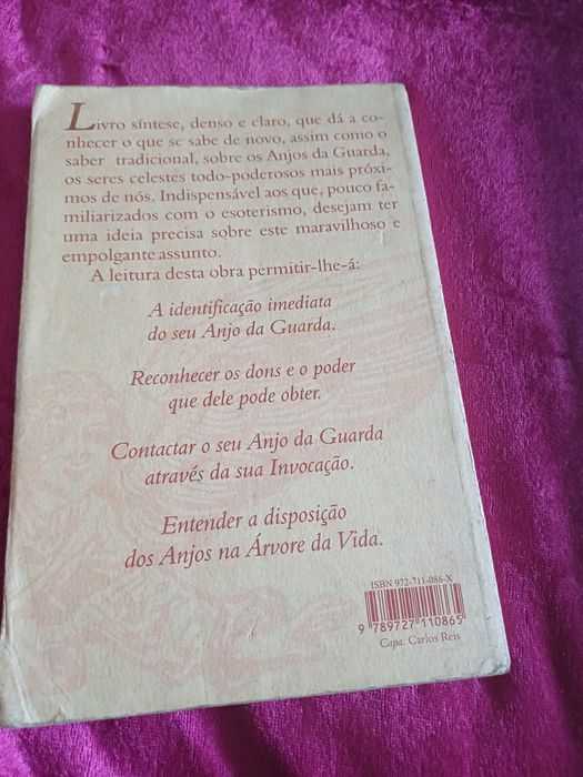 O Anjo da Guarda  Existe
