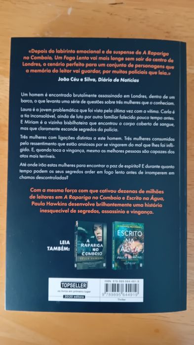 Um fogo lento - Paula Hawkins