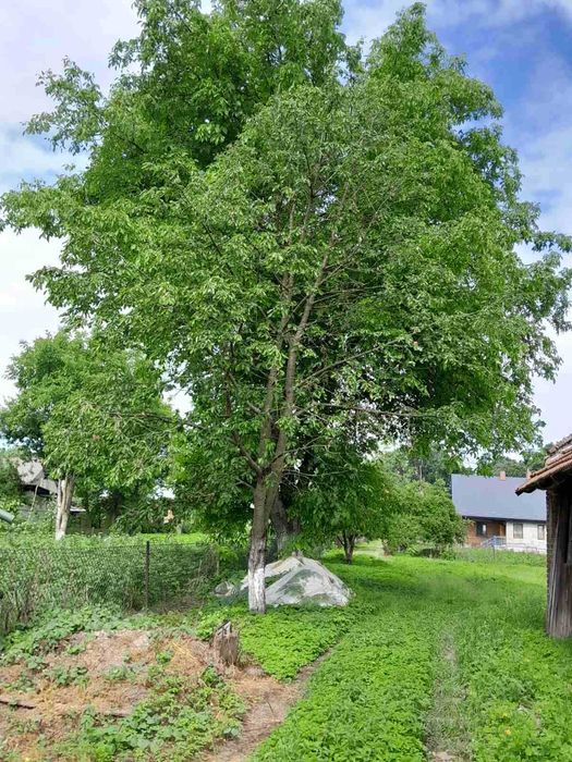 Продаж затишного будинку в м. Городок, вул. Заставська