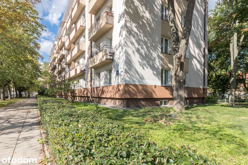 Słoneczne z widokiem na drzewa | balkon | piwnica