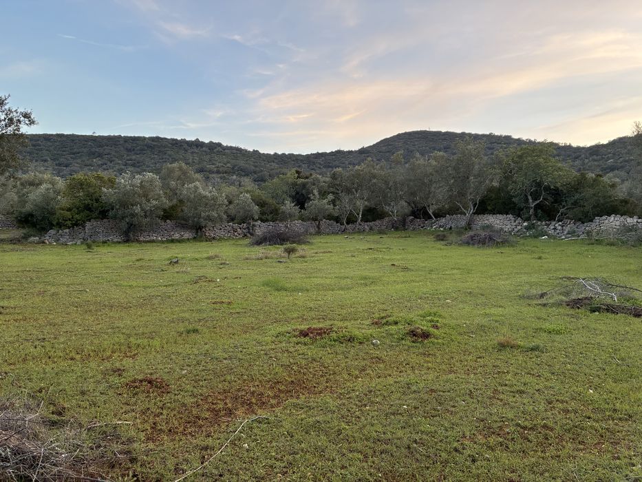 Terreno Rústico Goldra de Cima, Santa Bárbara de Nexe