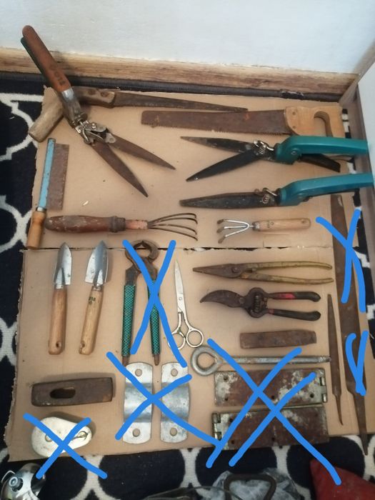 sekatory, nożyczki ogrodowe