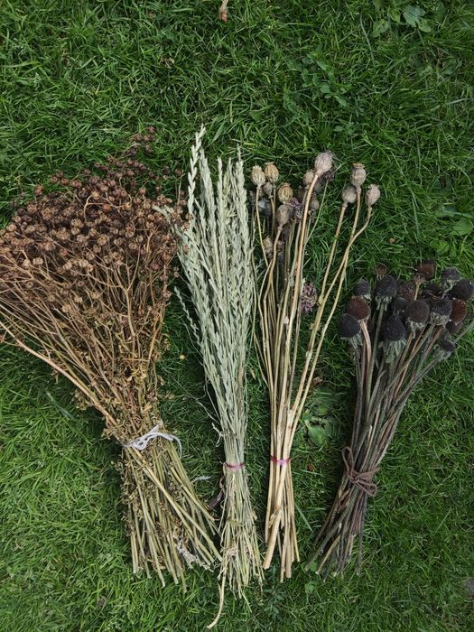 Suszone rośliny naturalne eco Boho