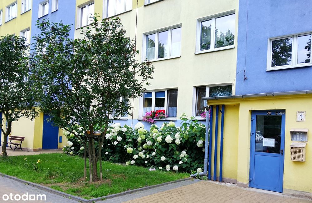 Bez Prowizji 4 Rozkładowe Pokoje W Odnowionym Bloku Lsm, Parking,Widok