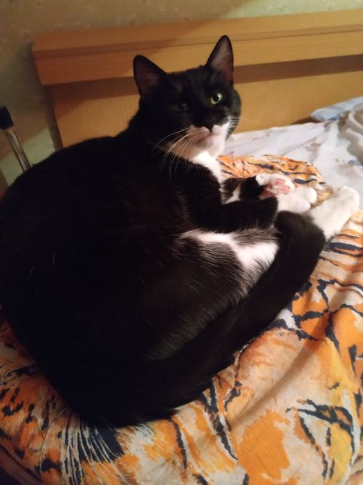 Хлопчик в добру родину