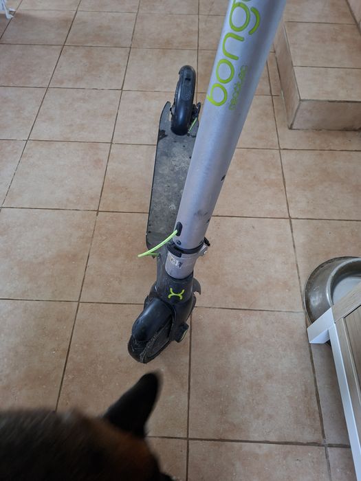 Vendo trotinete eletrica