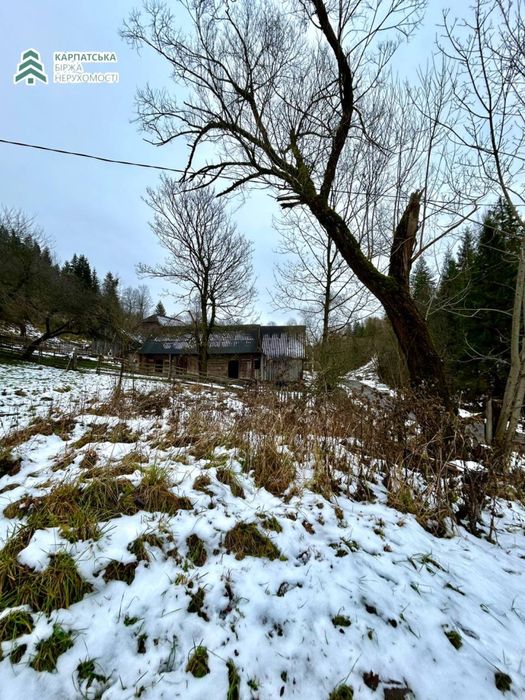 Земельна ділянка поруч з туристичним комплексом Озера Віта  Закарпаття