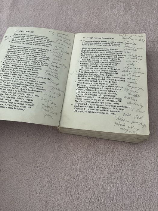 Książka: Pan Tadeusz - Adam Mickiewicz