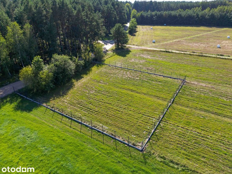Działki budowlane przy lesie z WZ, 20 minut od Ostrowi Mazowieckiej - Widok 2