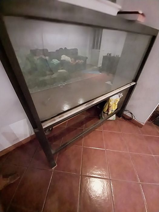 Aquário grande 500L