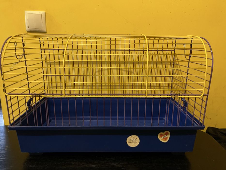 Клітка для гризунів, морська свинка, щур