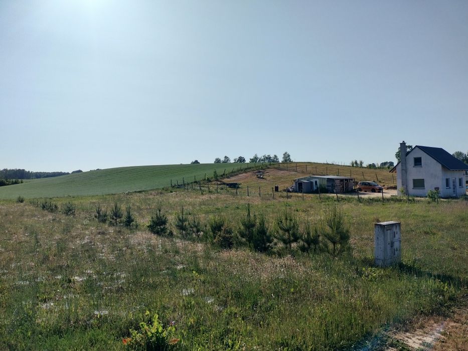 Działka 1500m. w Dzięcielcu