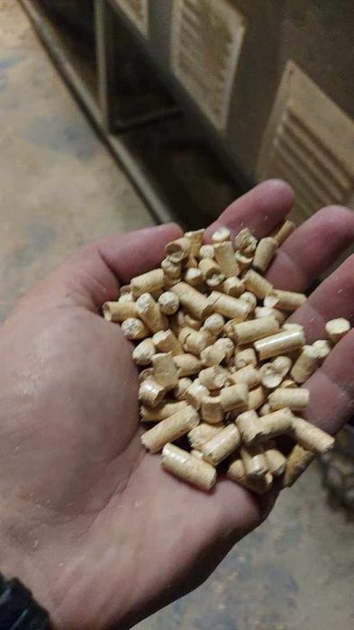 Pellet pelet Sosna EN A1 DIN + PLUS