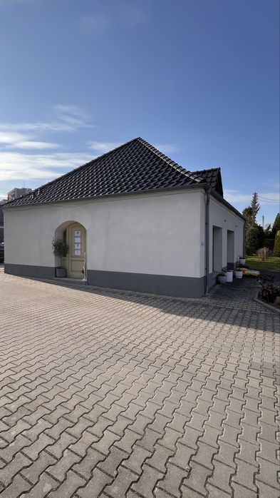 Lokal użytkowy wynajem