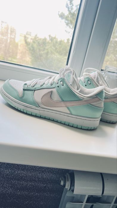 Кросівки жіночі Nike SB