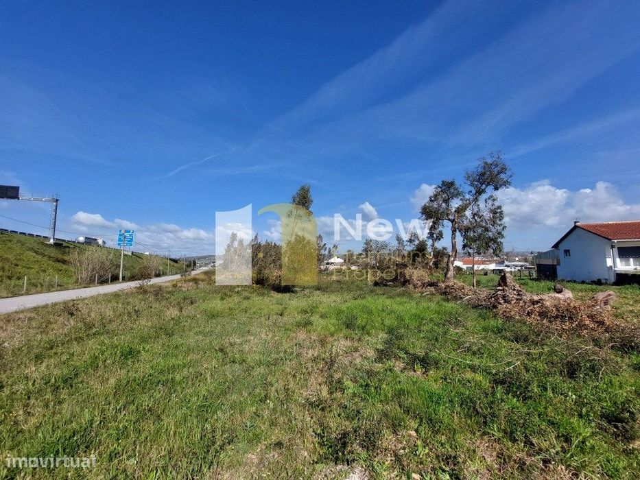 Venda Conjunta de 2 TERRENOS em Amor - Leiria.