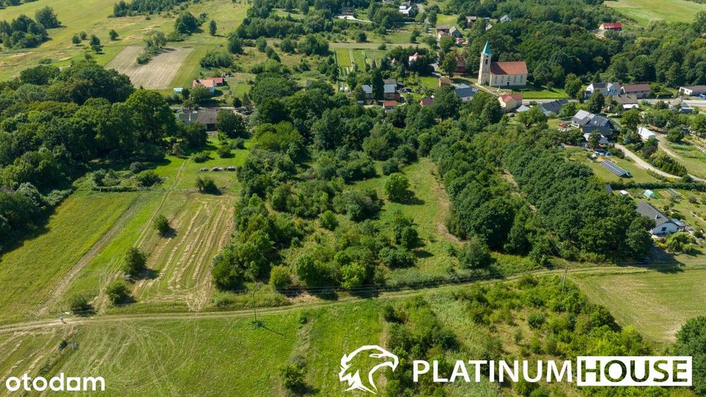 działka 7 900 m² z Decyzją O Warunkach Zabudowy - Widok 2