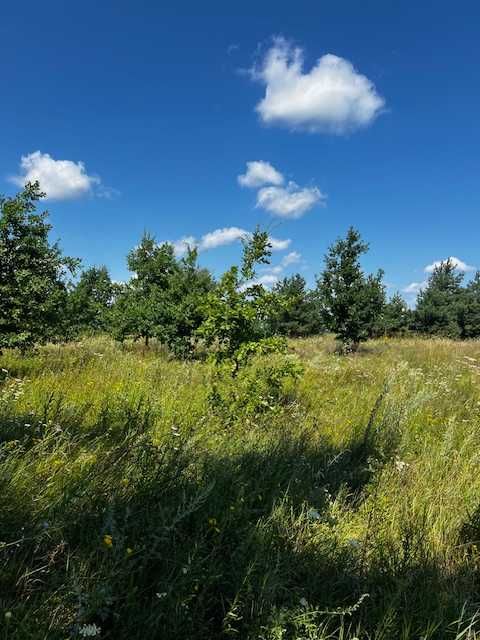 Продаються ділянки  біля села Озера Бучанського району.