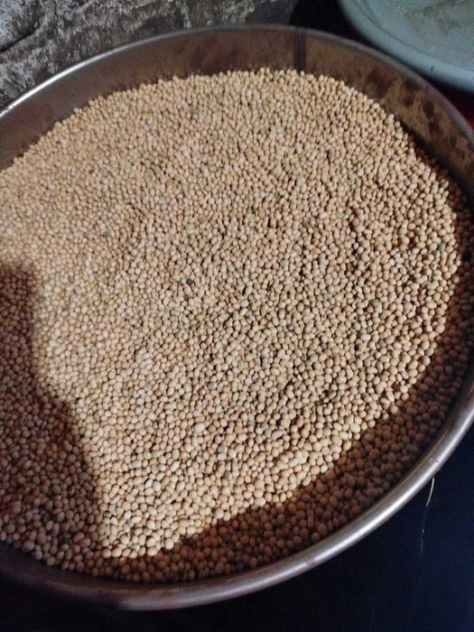 Продам сою не ГМО.