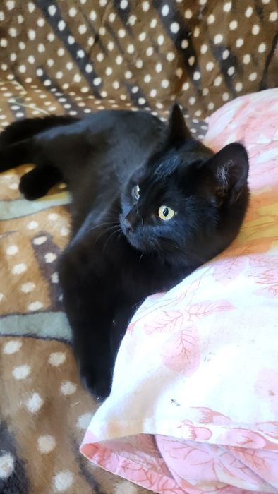 Девочка.4 - 4.5 месяца